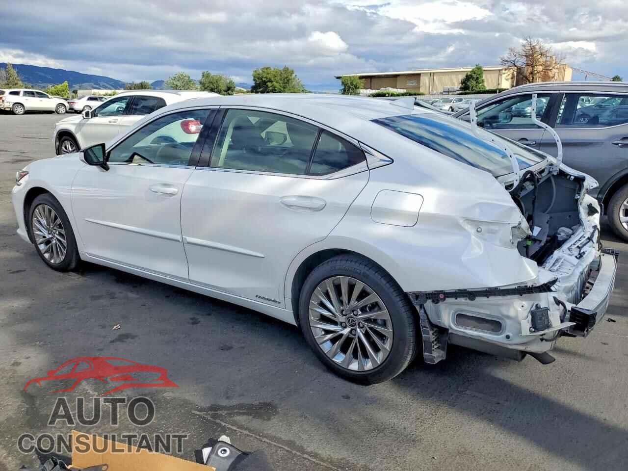 LEXUS ES300 2019 - JTHB21B15K2043589