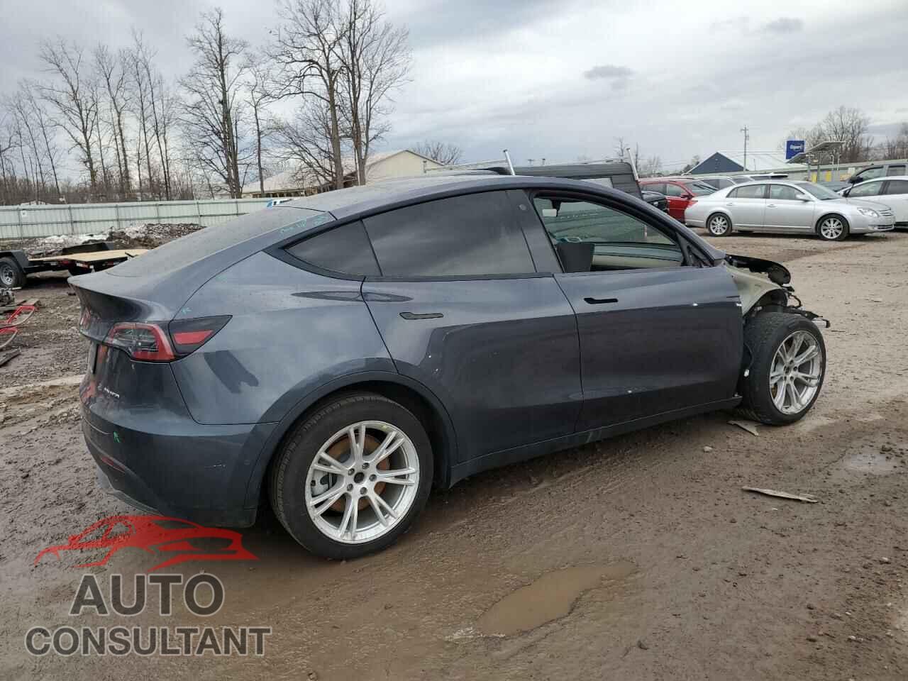 TESLA MODEL Y 2022 - 7SAYGDEE3NF338742