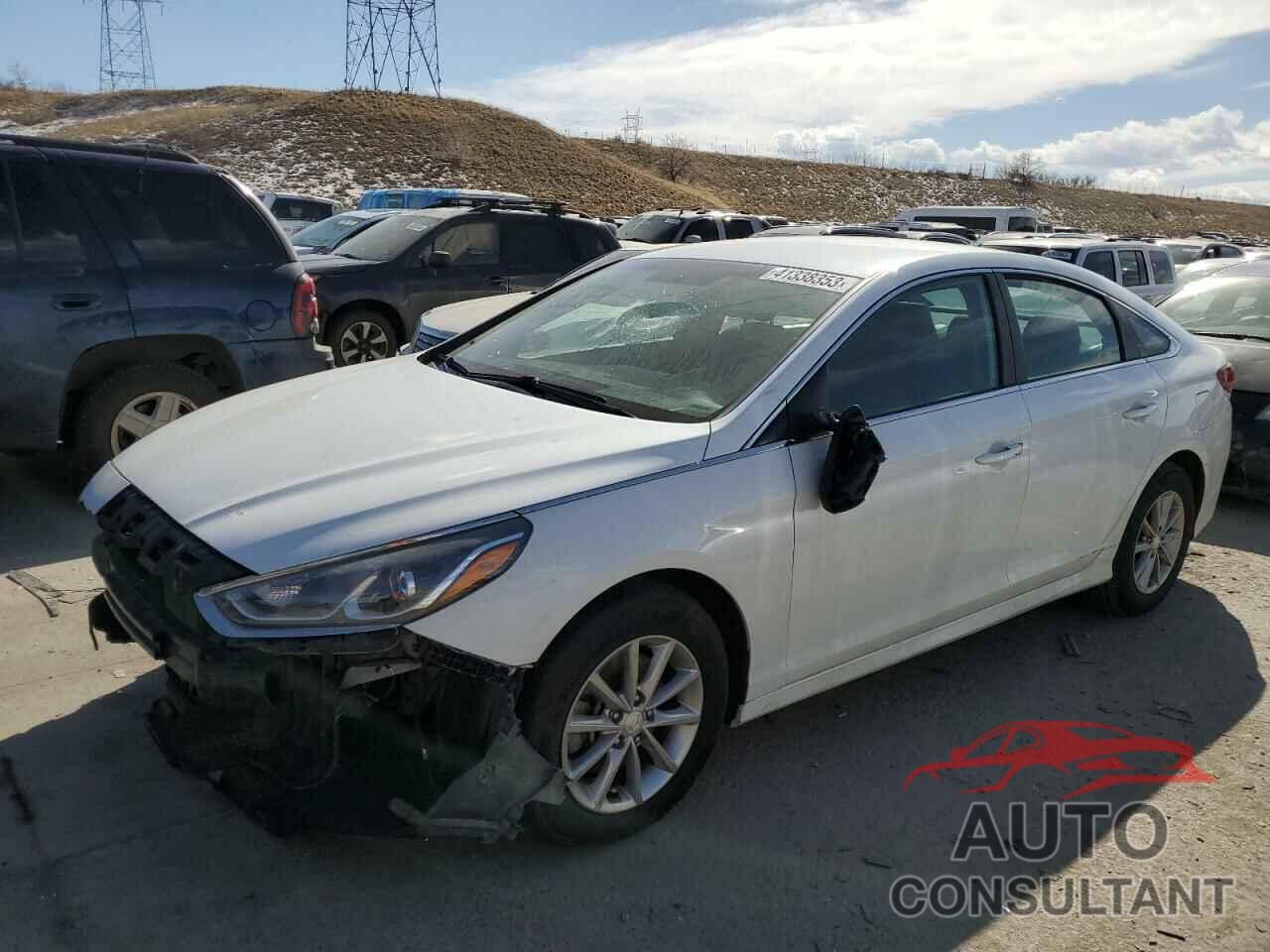 HYUNDAI SONATA 2019 - 5NPE24AF7KH738782