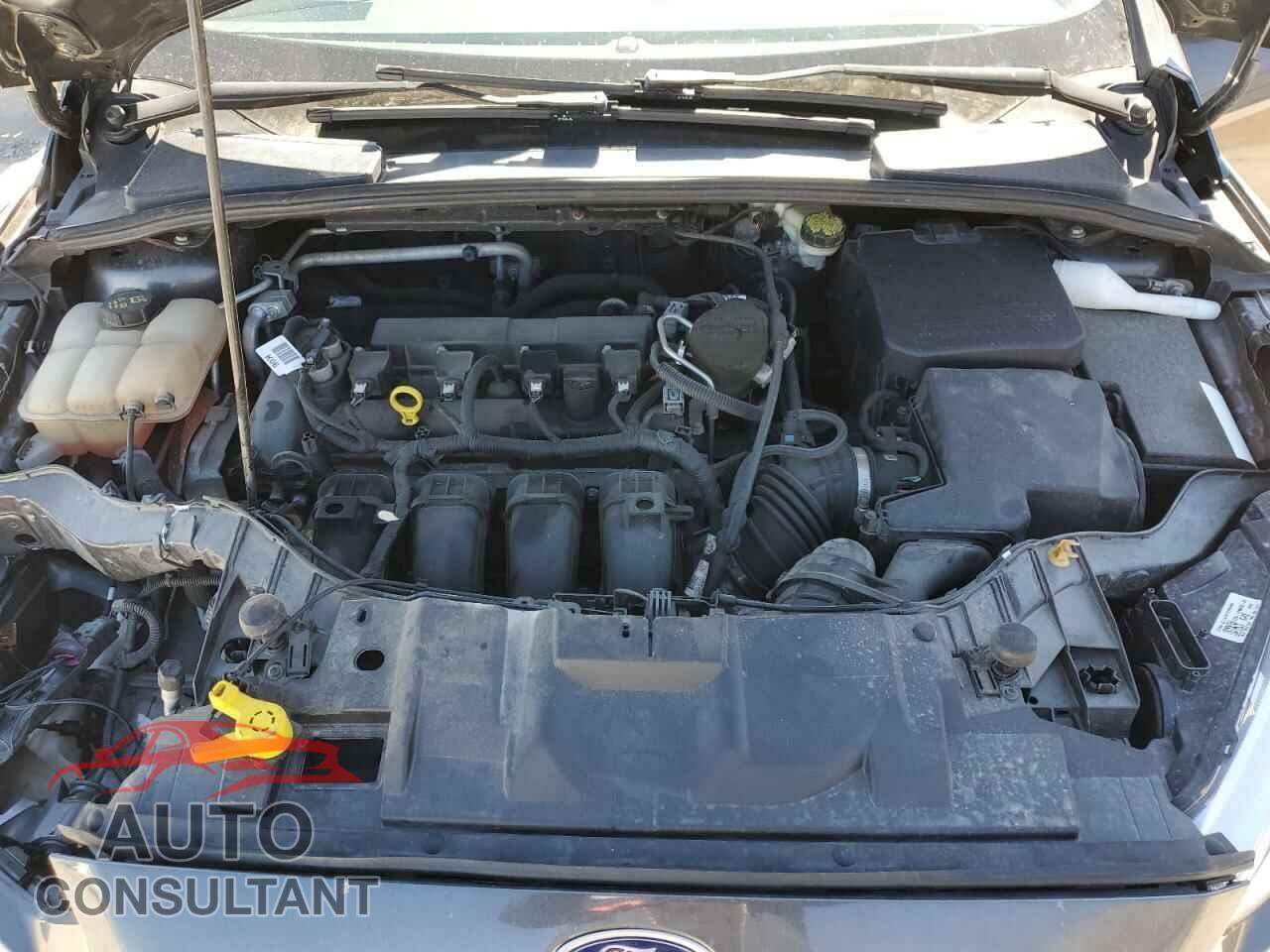 FORD FOCUS 2015 - 1FADP3F22FL299799