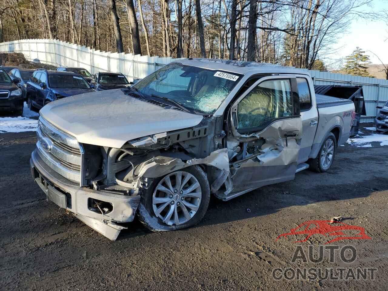 FORD F-150 2017 - 1FTEW1EG0HFC49178