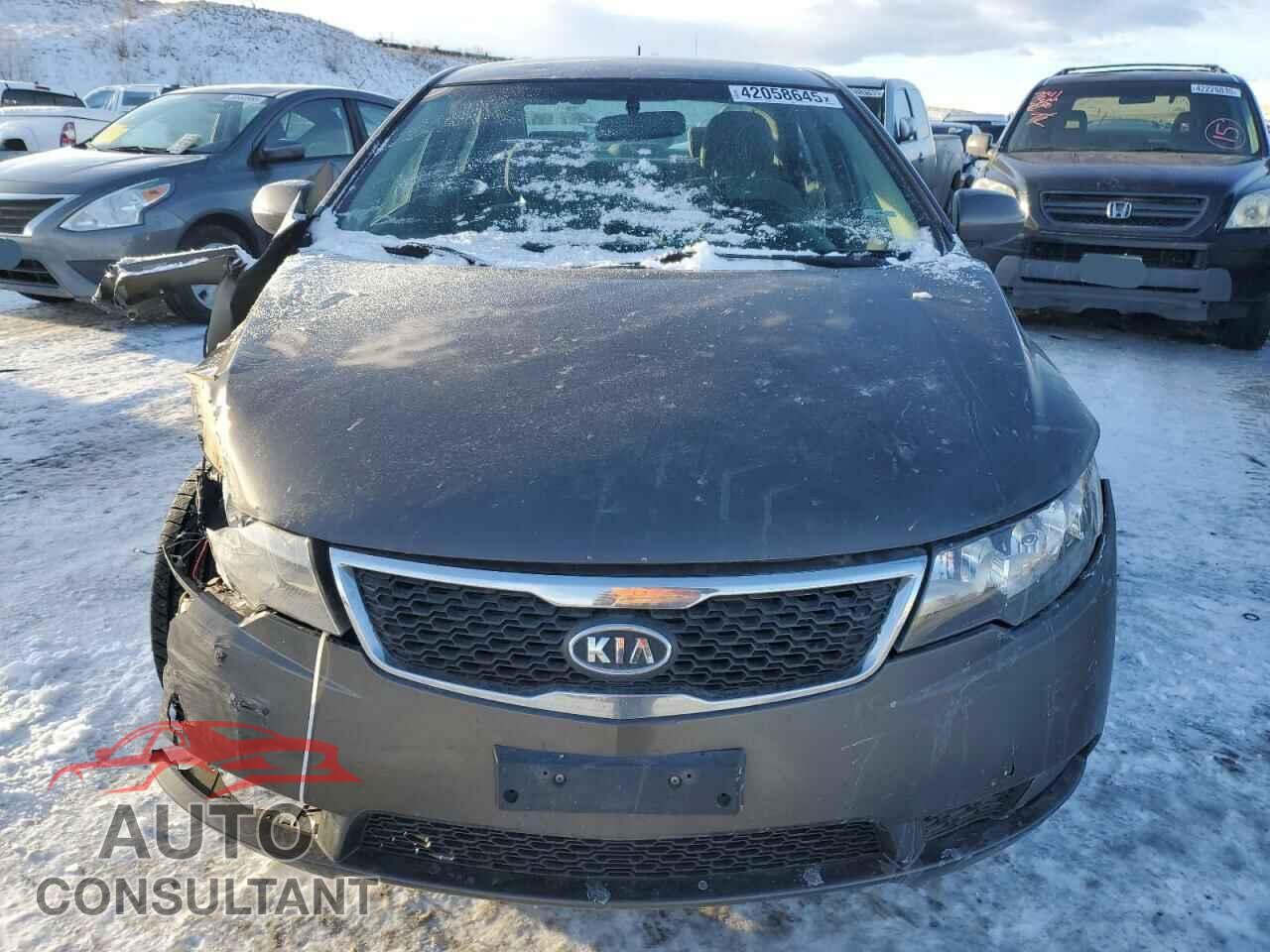 KIA FORTE 2011 - KNAFU4A20B5425159