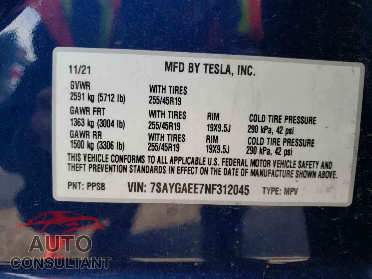 TESLA MODEL Y 2022 - 7SAYGAEE7NF312045