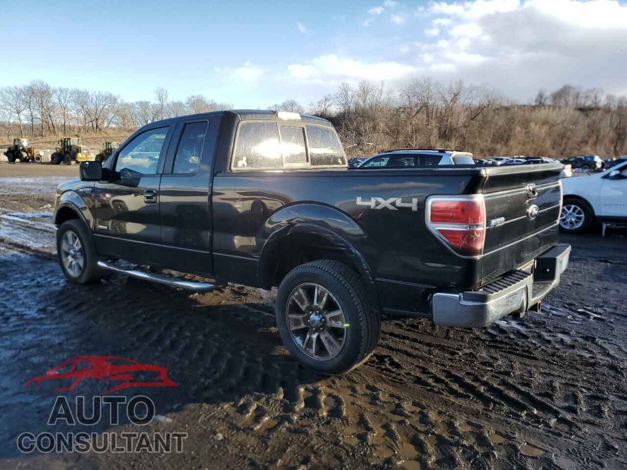 FORD F-150 2011 - 1FTFX1ET2BFA76222