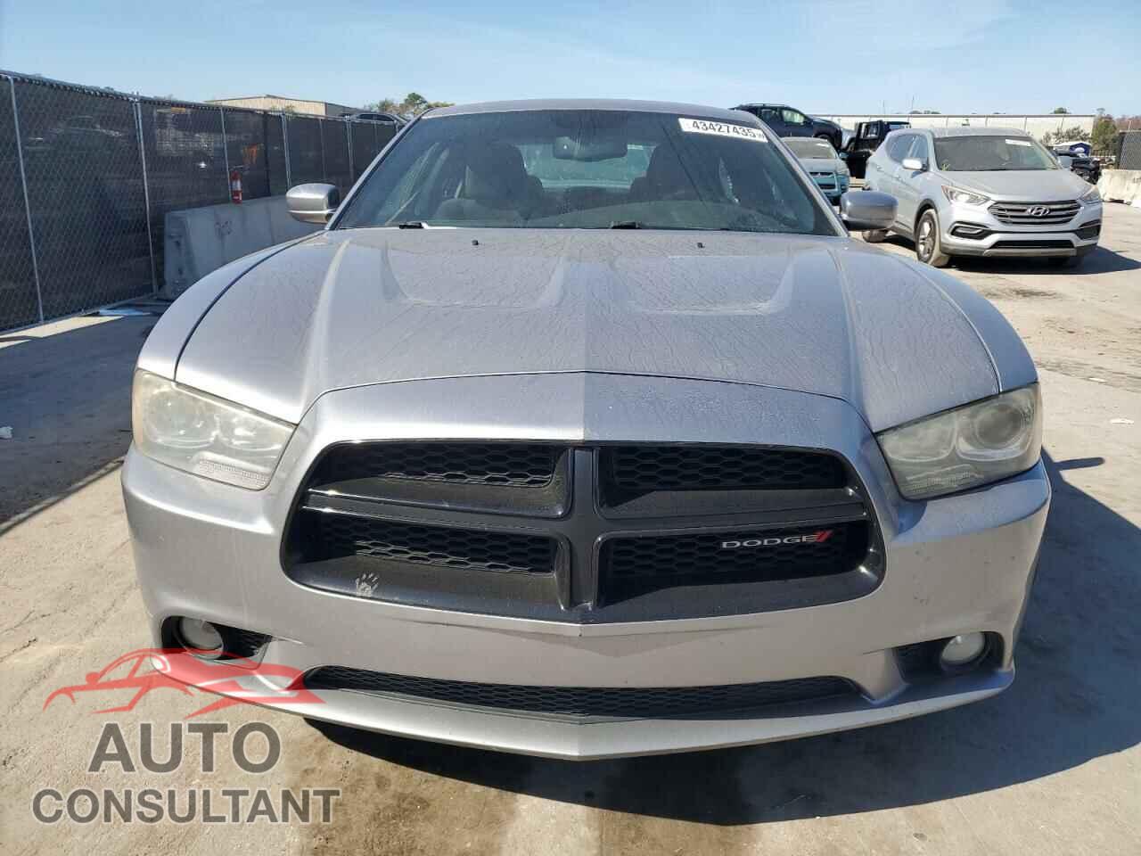 DODGE CHARGER 2014 - 2C3CDXDT4EH319892