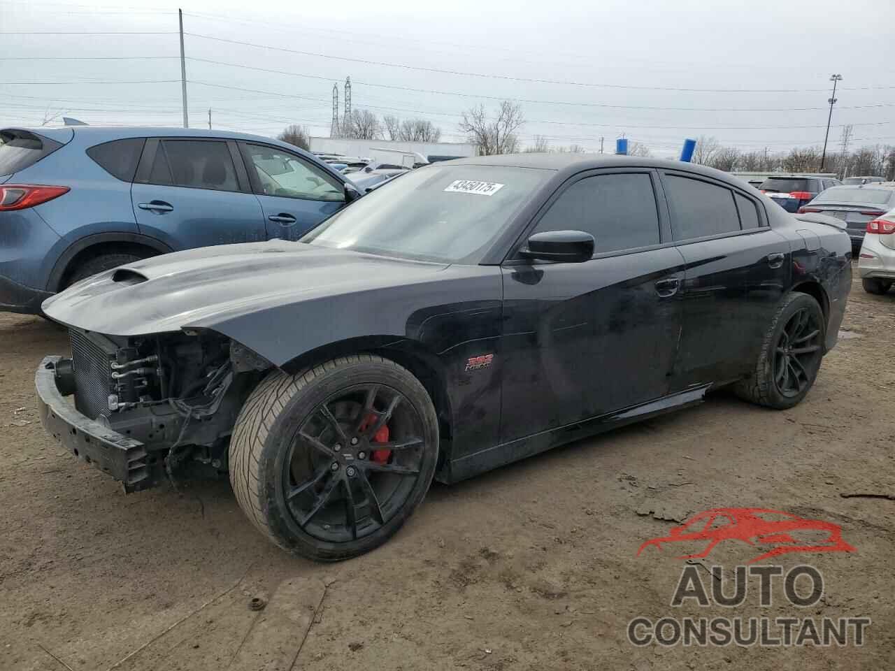 DODGE CHARGER 2019 - 2C3CDXGJ3KH662120