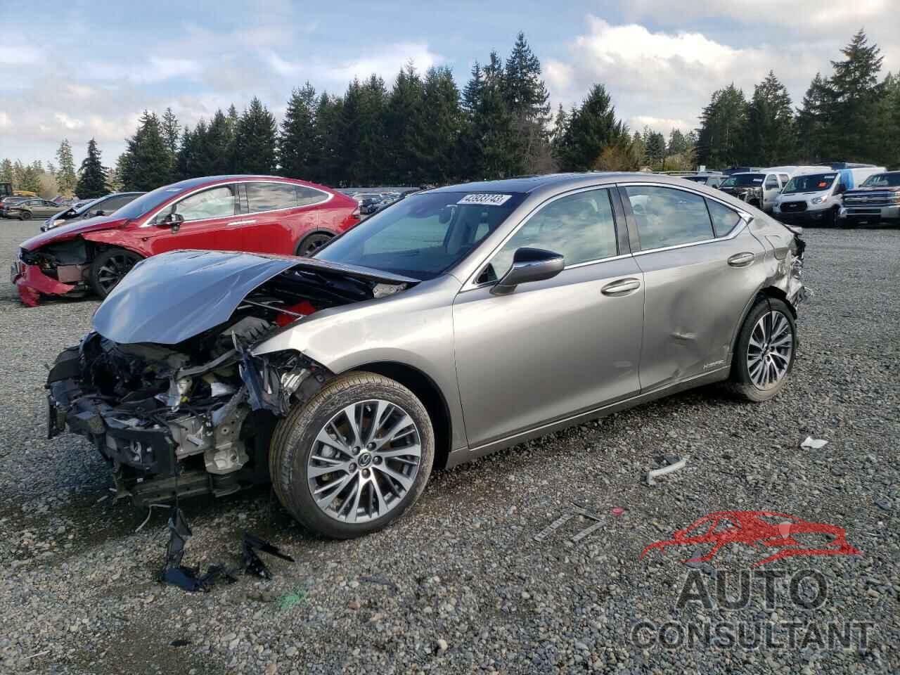 LEXUS ES300 2019 - 58AB21B14KU001702