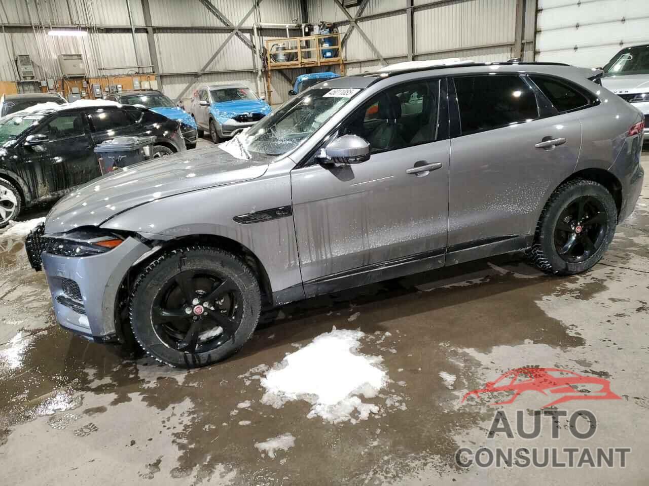 JAGUAR F-PACE 2021 - SADCJ2EX9MA683249
