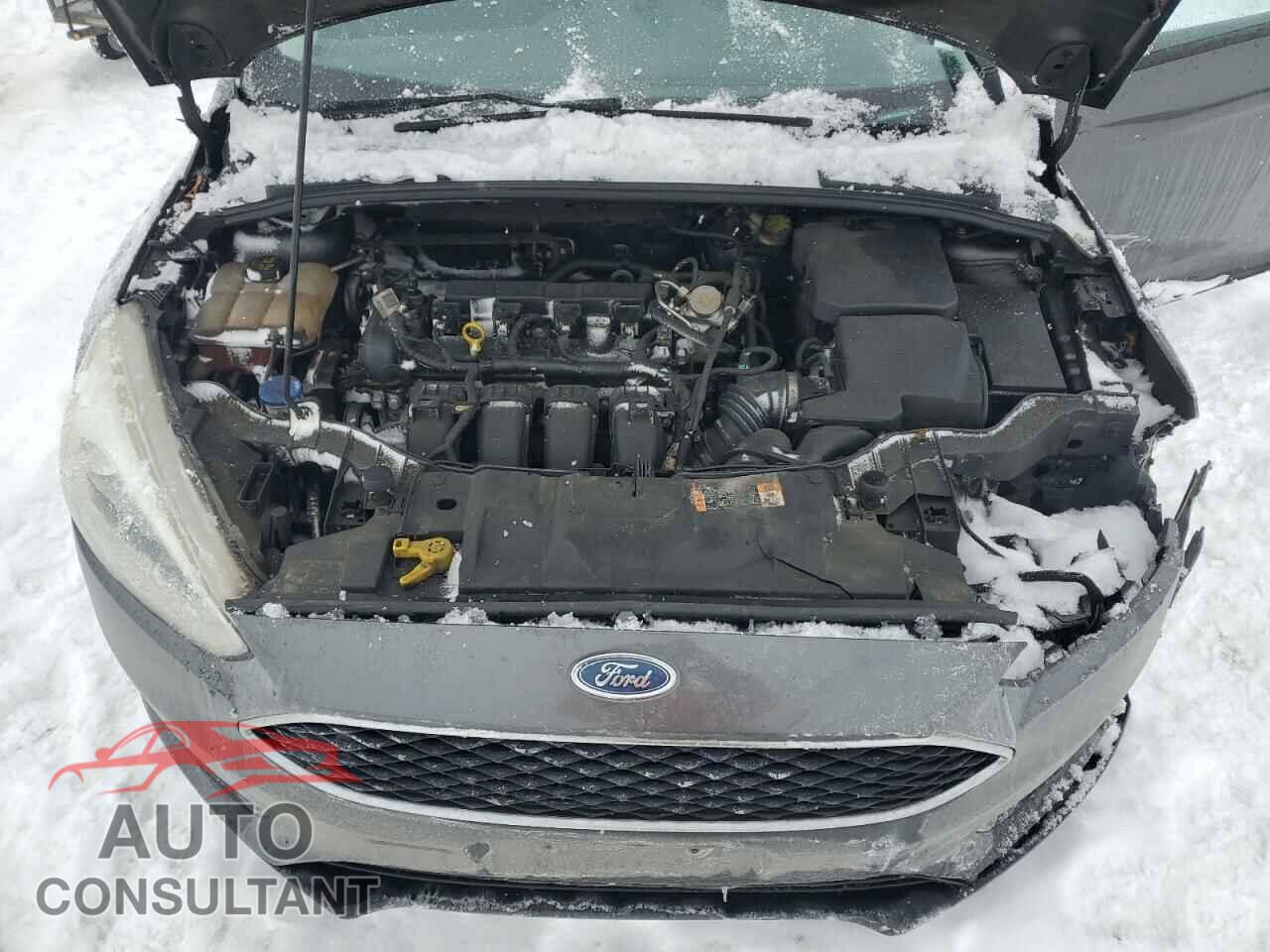 FORD FOCUS 2016 - 1FADP3F21GL323124