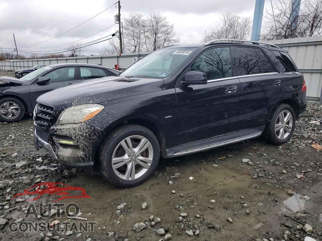 MERCEDES-BENZ M-CLASS 2012 - 4JGDA5HB2CA010699