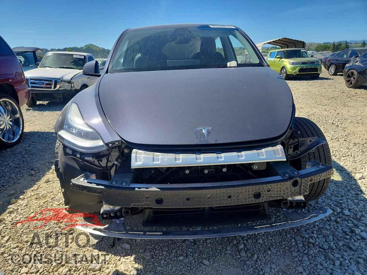 TESLA MODEL Y 2022 - 7SAYGDEE8NF451375