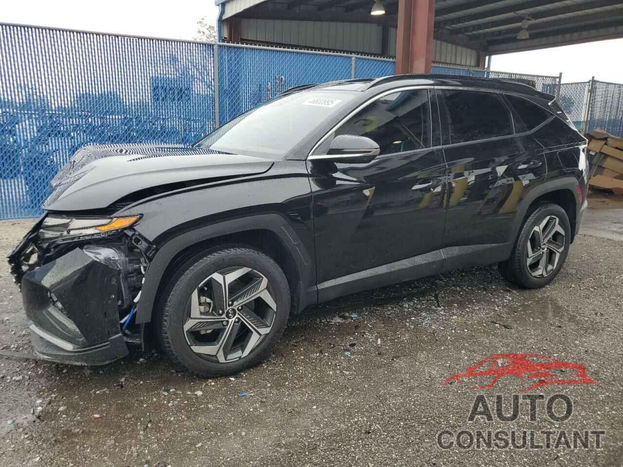 HYUNDAI TUCSON 2024 - 5NMJECDE6RH302256