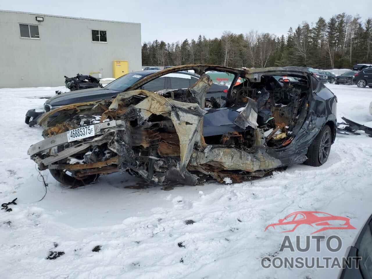 TESLA MODEL Y 2024 - LRWYGDEE3RC640643