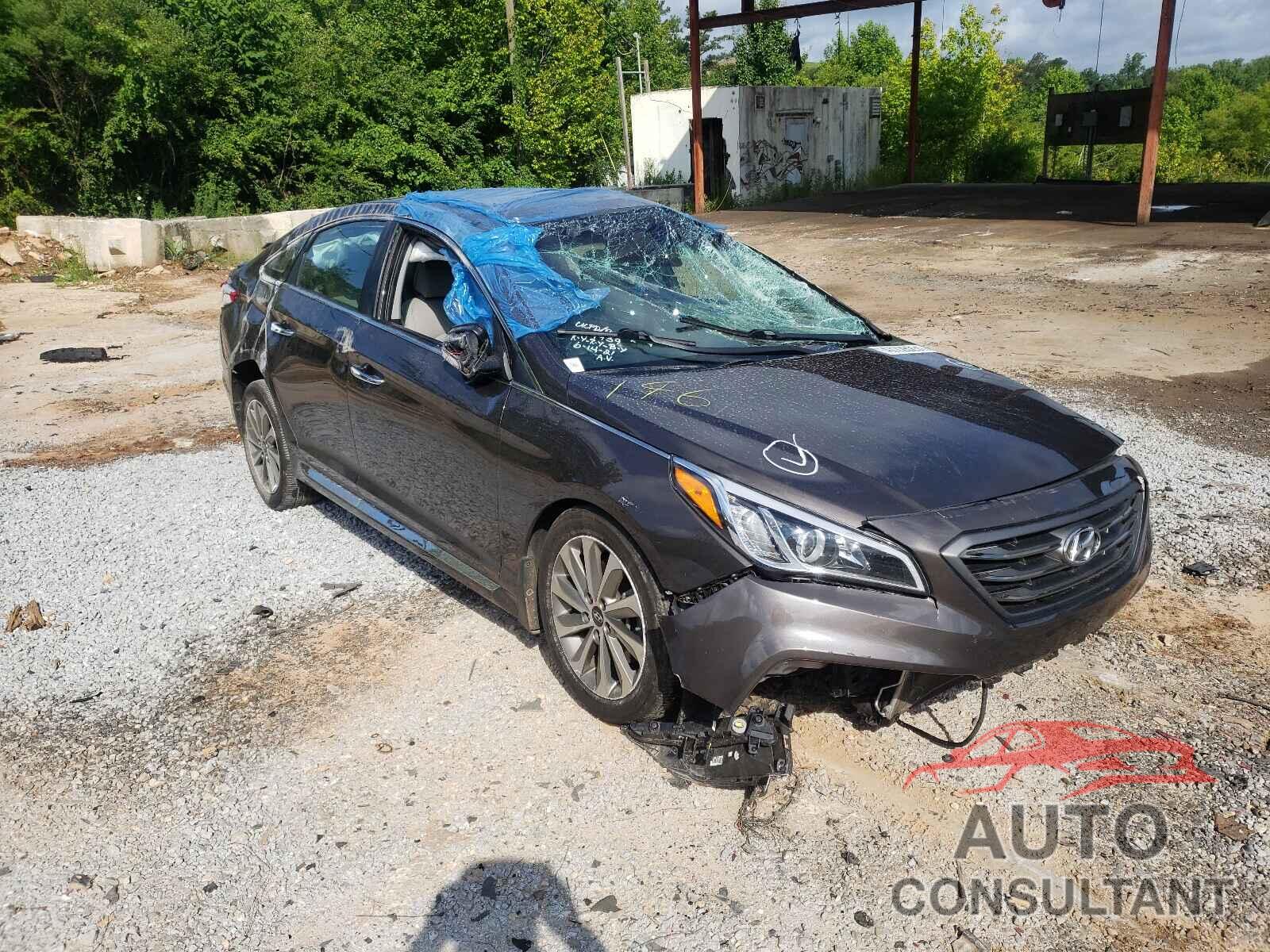 HYUNDAI SONATA 2016 - 5NPE34AF6GH425288