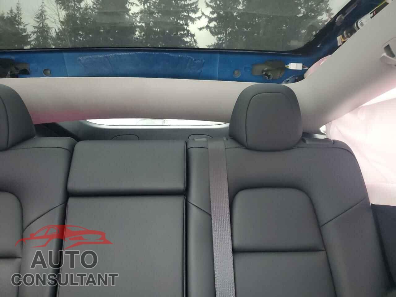 TESLA MODEL Y 2025 - 7SAYGAEE8SF260565