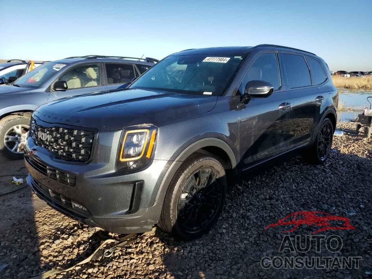 KIA TELLURIDE 2022 - 5XYP5DHC6NG274360