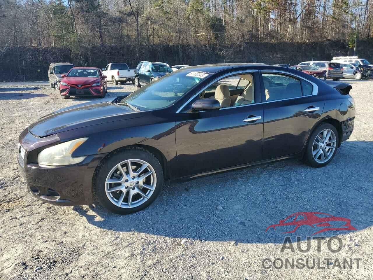NISSAN MAXIMA 2013 - 1N4AA5AP6DC801567