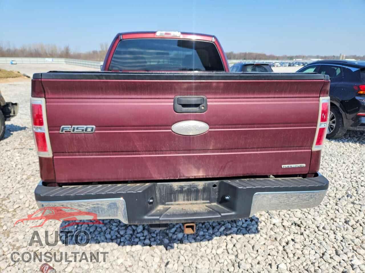 FORD F150 2010 - 1FTEX1E85AFD10665