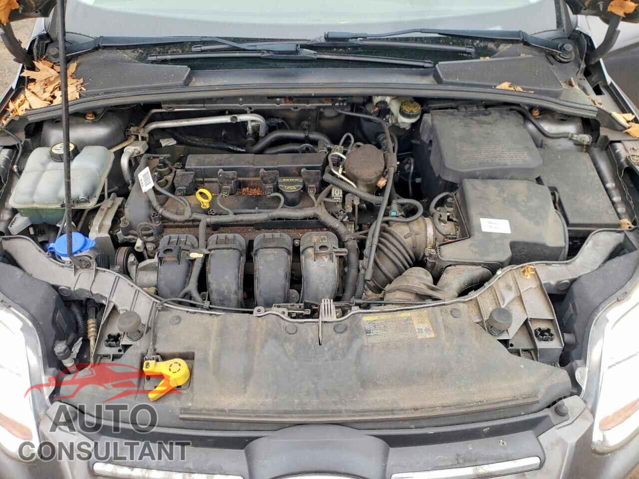 FORD FOCUS 2012 - 1FAHP3F20CL412517