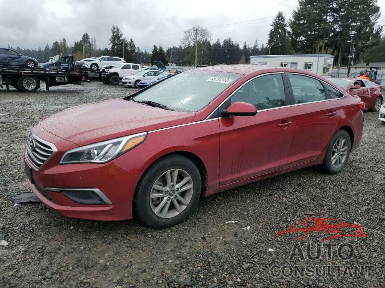 HYUNDAI SONATA 2016 - 5NPE24AF6GH330524