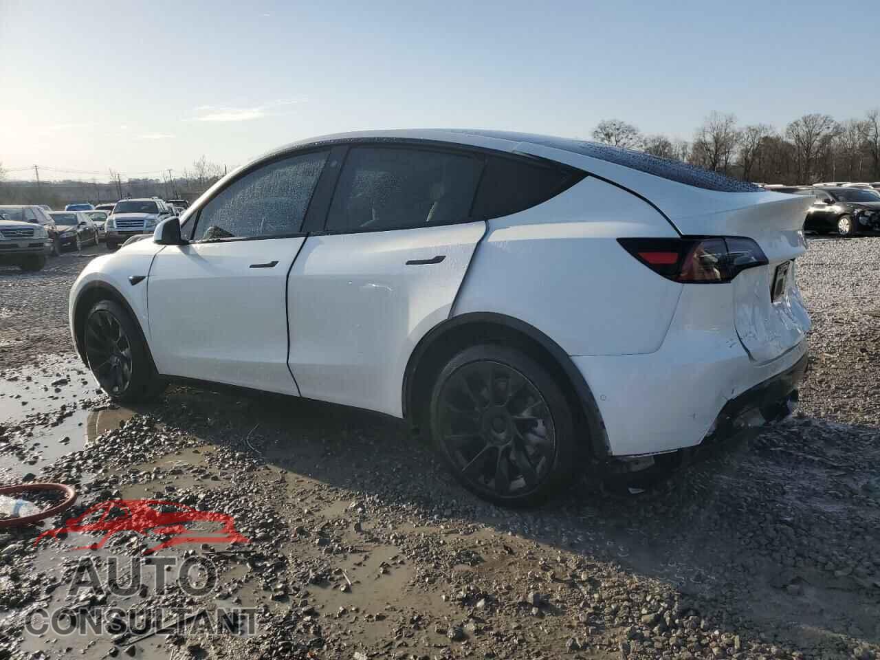 TESLA MODEL Y 2021 - 5YJYGAEE2MF301840