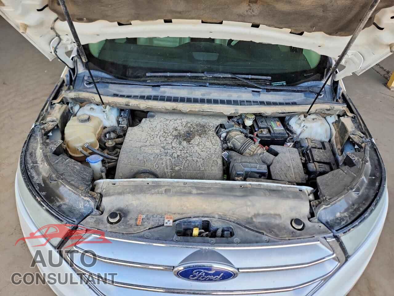 FORD EDGE 2015 - 2FMTK3J89FBB92728