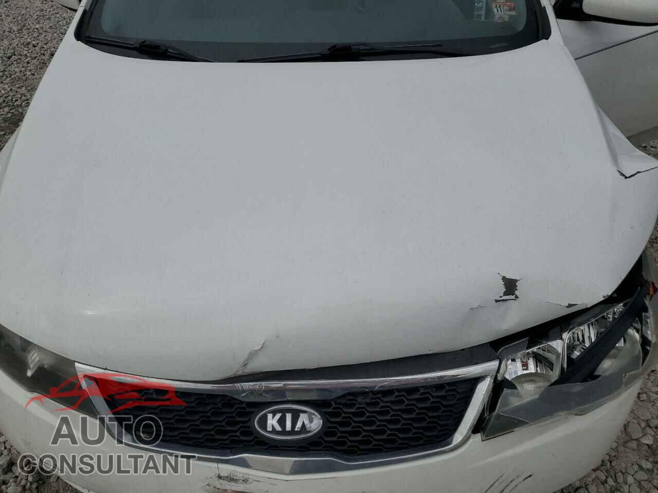KIA FORTE 2012 - KNAFT4A22C5519466