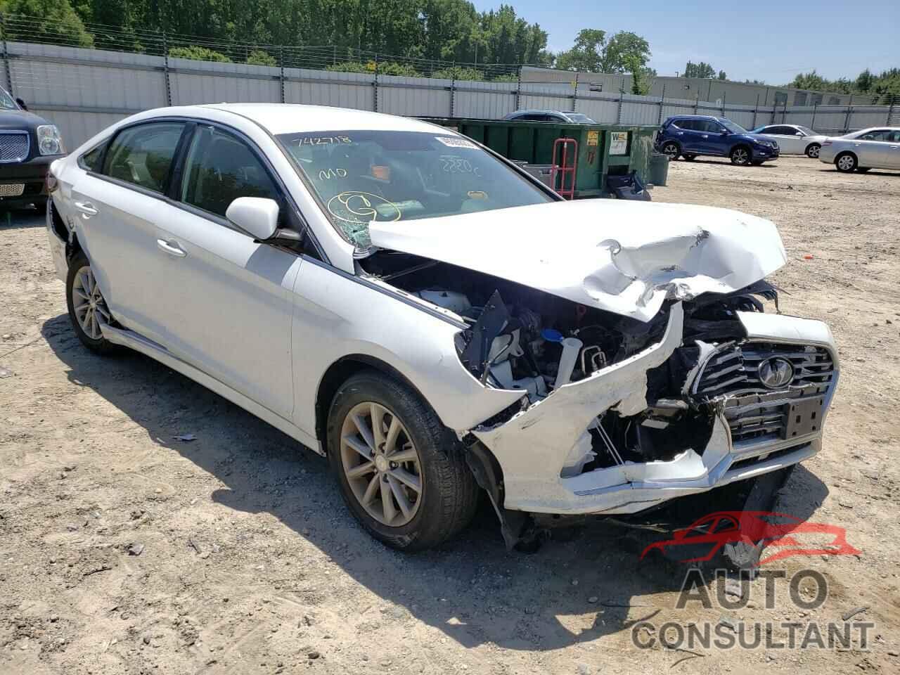 HYUNDAI SONATA 2019 - 5NPE24AF7KH742718
