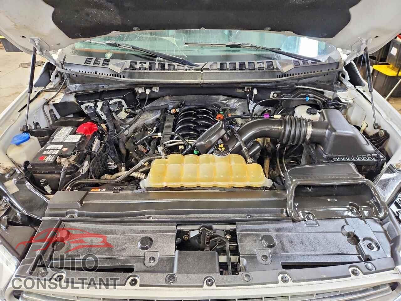 FORD UNKNOWN 2019 - 1FTEW1E5XKFC59321