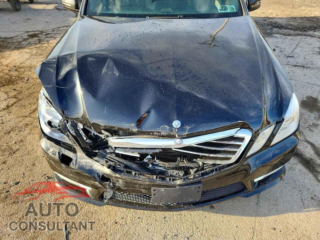 MERCEDES-BENZ E-CLASS 2013 - WDDHF8JB9DA771479