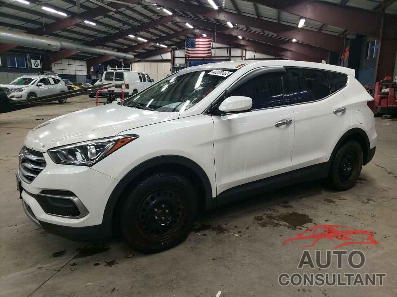 HYUNDAI SANTA FE 2017 - 5NMZTDLB1HH029540