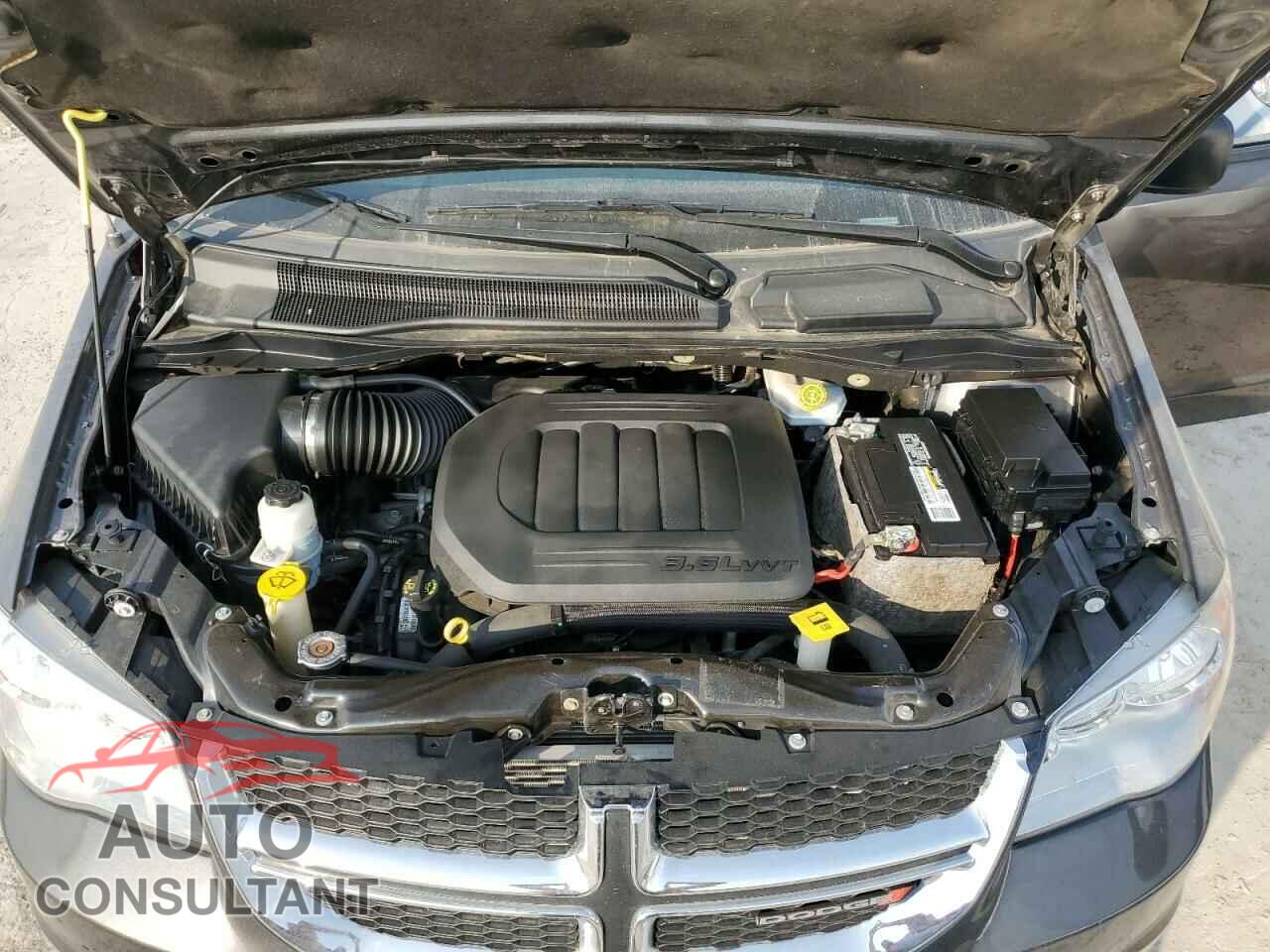 DODGE CARAVAN 2019 - 2C4RDGBGXKR603285