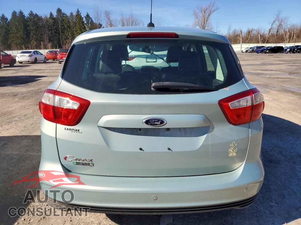 FORD C-MAX 2014 - 1FADP5CU3EL508242