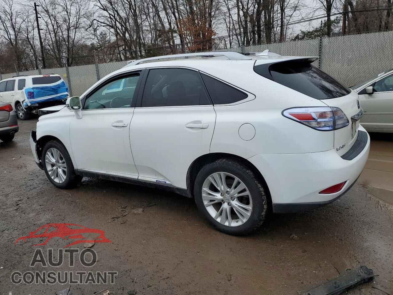 LEXUS RX450 2010 - JTJBC1BA8A2022682