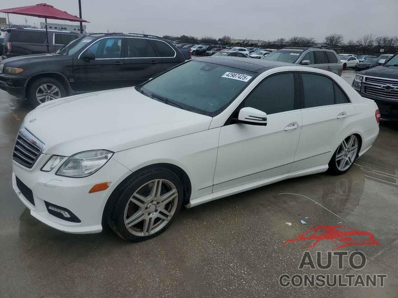 MERCEDES-BENZ E-CLASS 2010 - WDDHF9AB5AA250552