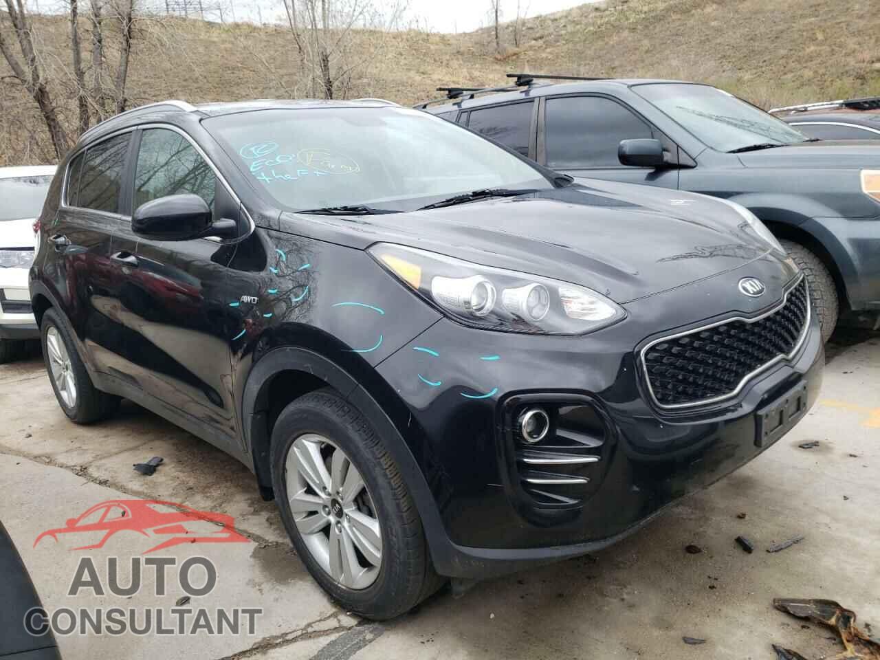 KIA SPORTAGE 2017 - KNDPMCAC9H7158675