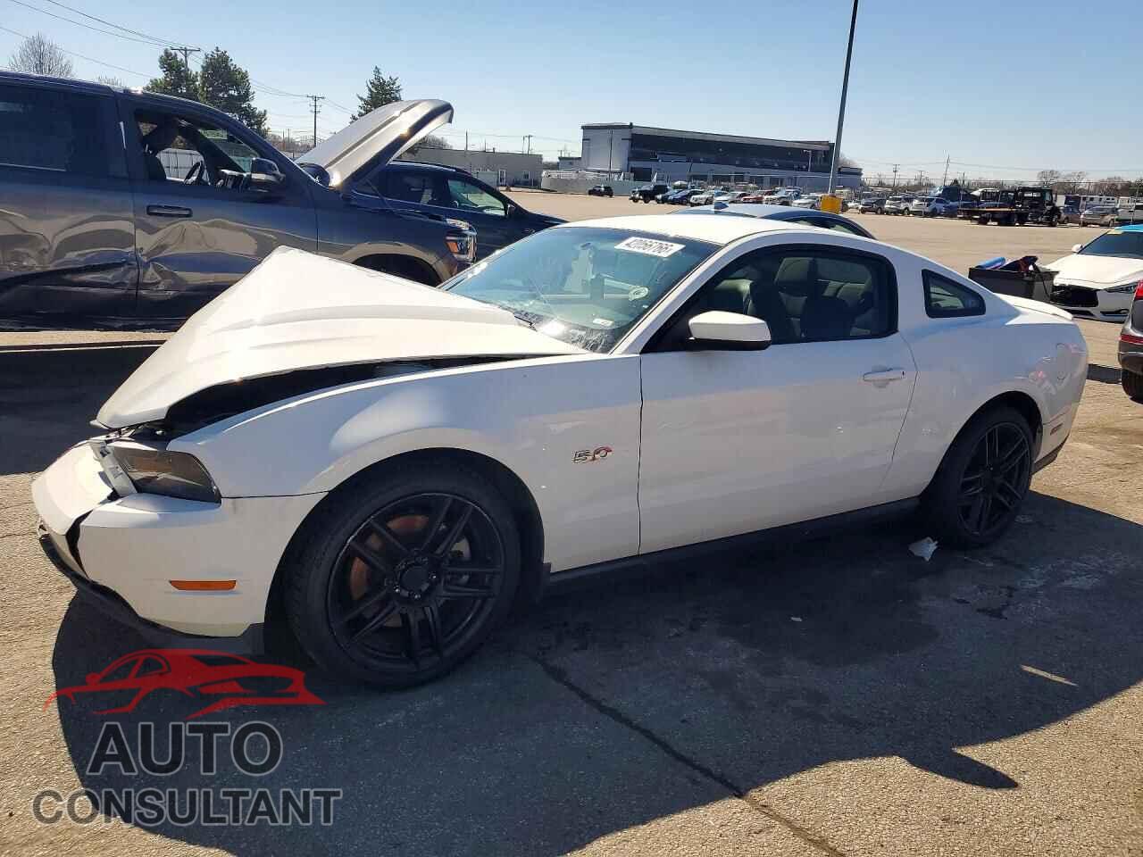 FORD MUSTANG 2011 - 1ZVBP8CF5B5122360