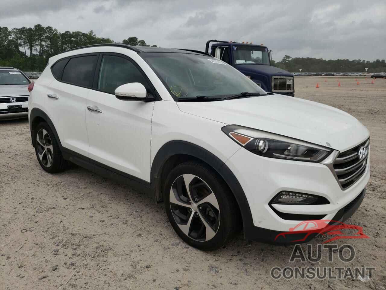 HYUNDAI TUCSON 2016 - KM8J33A24GU050329