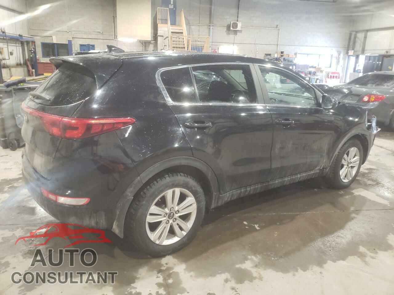 KIA SPORTAGE 2017 - KNDPM3AC0H7210775