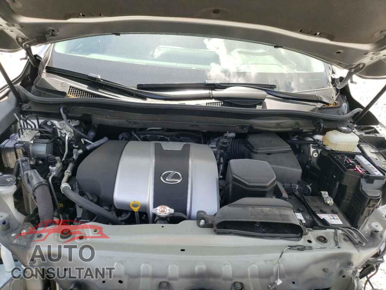 LEXUS RX350 2019 - JTJGZKCA9K2012575