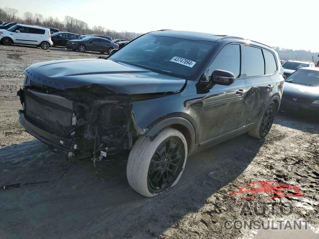 KIA TELLURIDE 2021 - 5XYP5DHC7MG137720