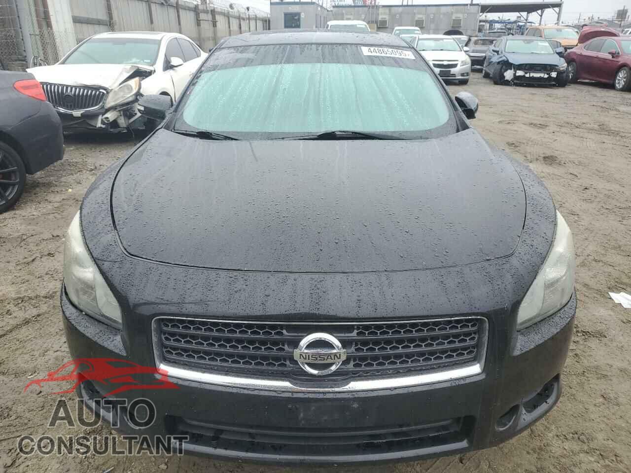 NISSAN MAXIMA 2011 - 1N4AA5AP1BC847353
