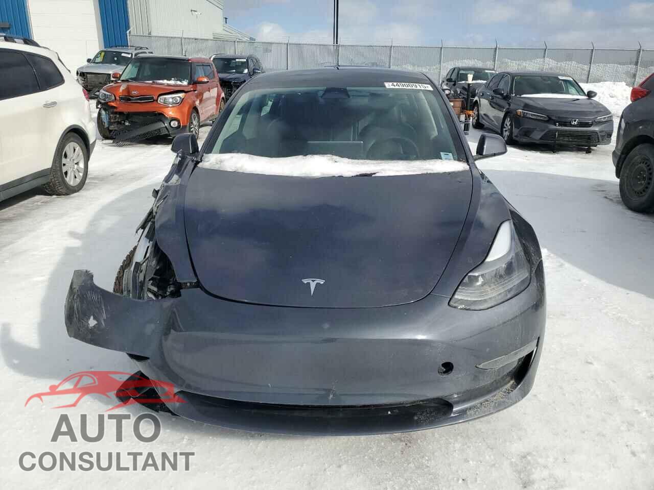TESLA MODEL 3 2023 - 5YJ3E1EA0PF405034