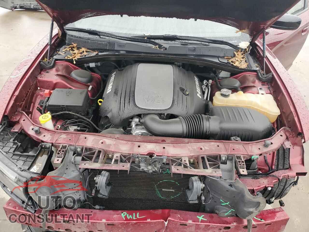 DODGE CHARGER 2019 - 2C3CDXCTXKH726502