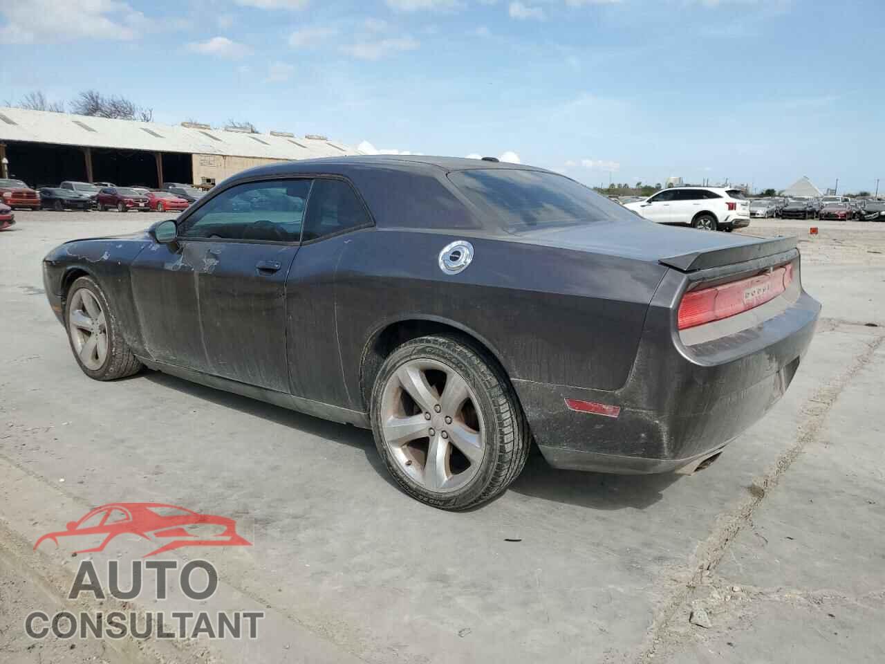 DODGE CHALLENGER 2013 - 2C3CDYBT2DH652132