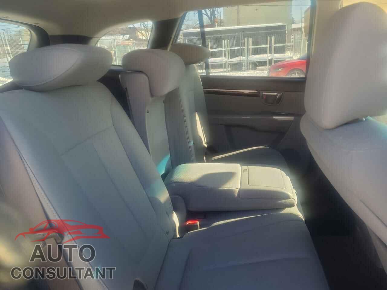 HYUNDAI SANTA FE 2010 - 5NMSGDAG0AH385536