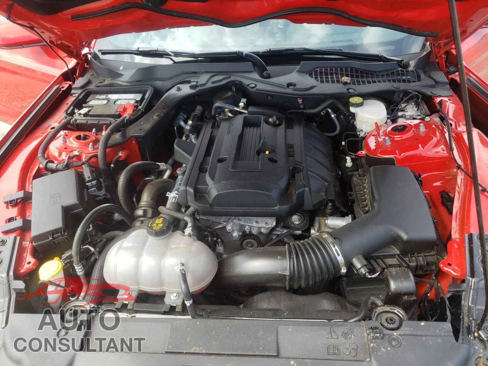 FORD MUSTANG 2019 - 1FA6P8TH2K5203795