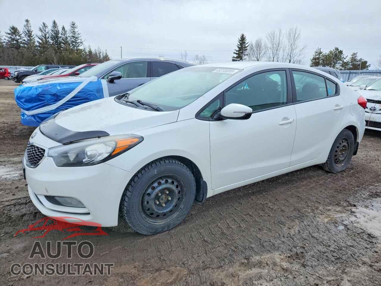 KIA FORTE 2014 - KNAFX4A63E5166472