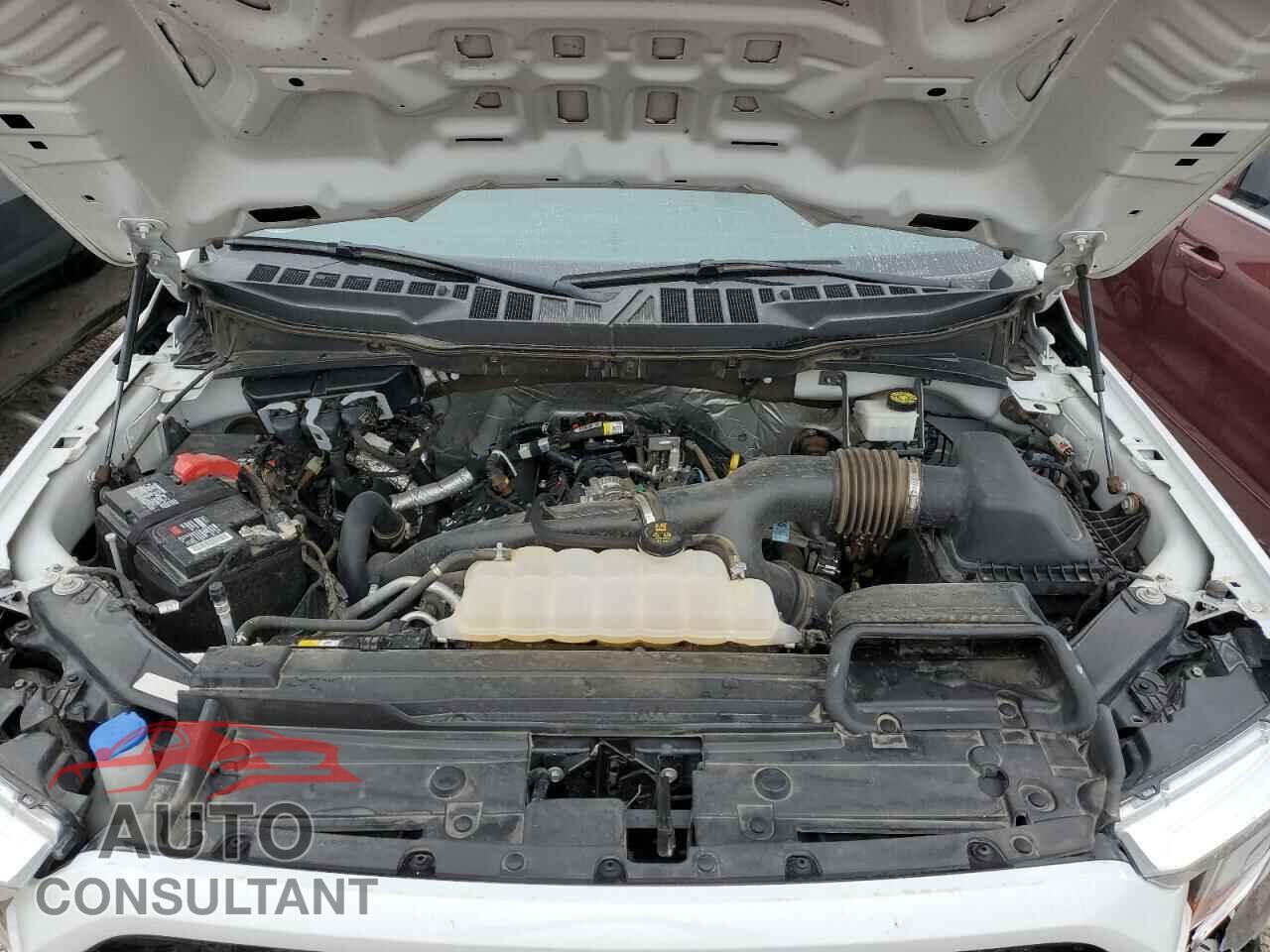 FORD F-150 2021 - 1FTEW1EP2MKD22326