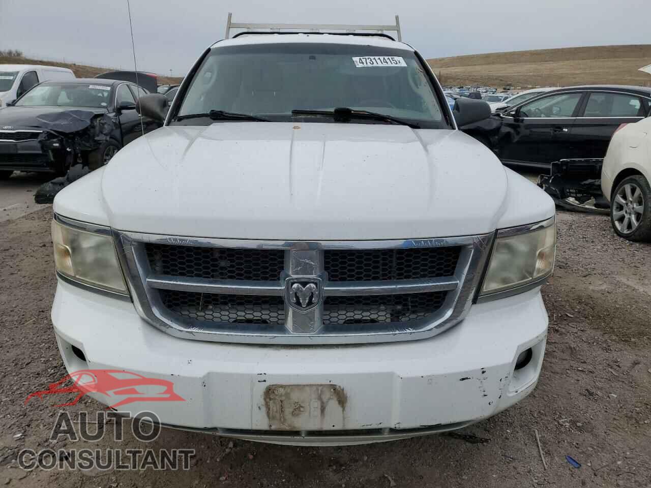DODGE DAKOTA 2011 - 1D7RW2BK2BS654009
